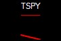 TSPY